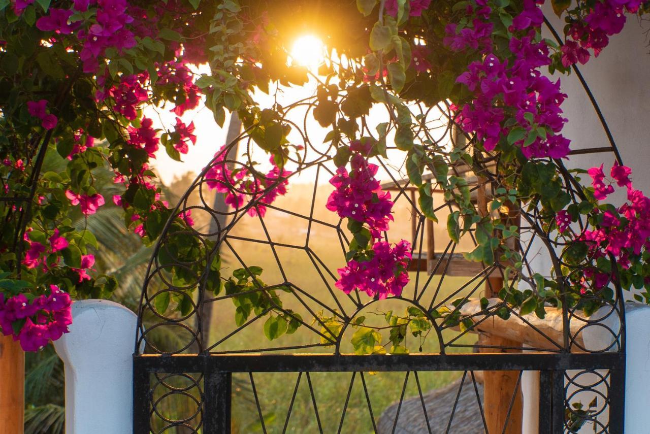 Sunset View Tofo Hotel Exterior foto